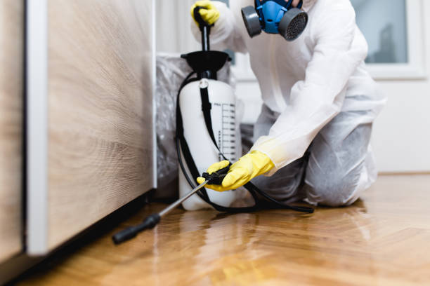 Best Affordable Pest Control Services  in Clearfield, UT