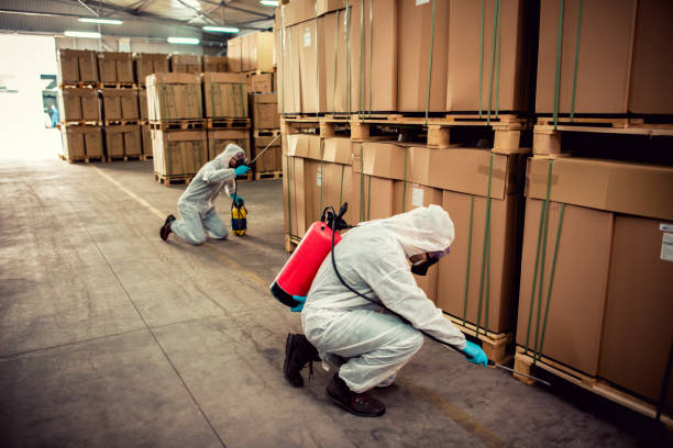 Best Residential Pest Control  in Clearfield, UT