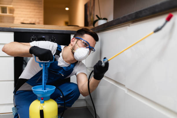 Best Best Pest Control Companies  in Clearfield, UT