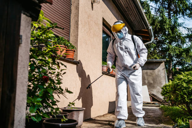 Best Mosquito Control Services  in Clearfield, UT