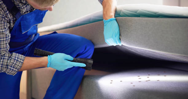 Best Cockroach Control Services  in Clearfield, UT