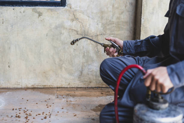Best Pest Removal Services  in Clearfield, UT